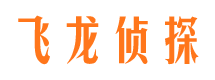 浦江飞龙私家侦探公司